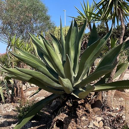 הוילה La Torretta Di אונינה מראה חיצוני תמונה