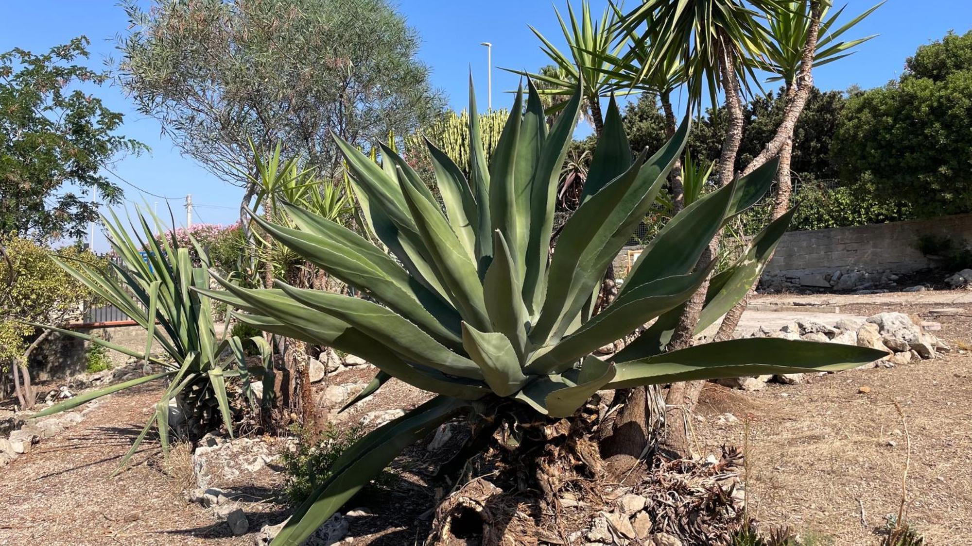 הוילה La Torretta Di אונינה מראה חיצוני תמונה