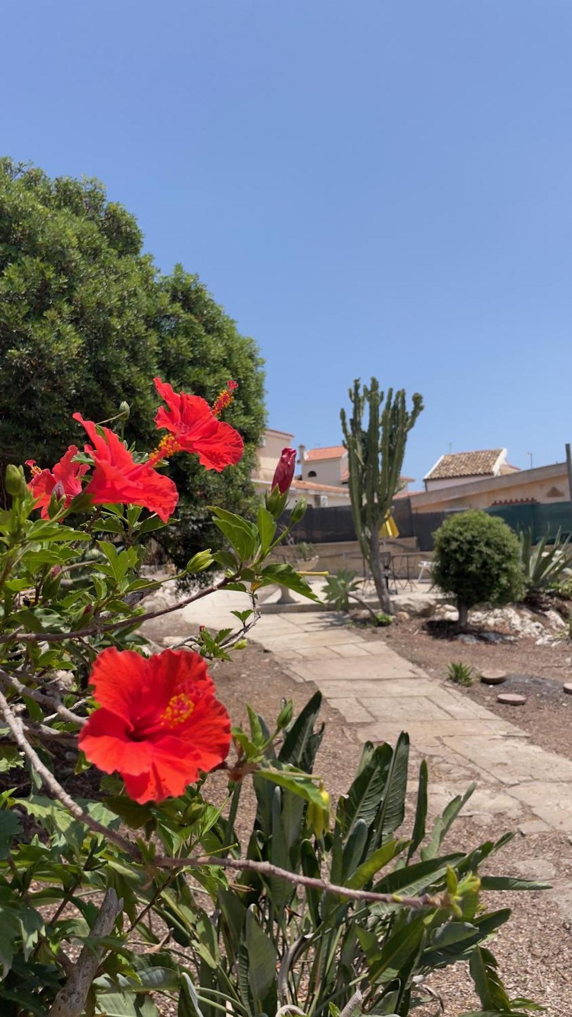 הוילה La Torretta Di אונינה מראה חיצוני תמונה